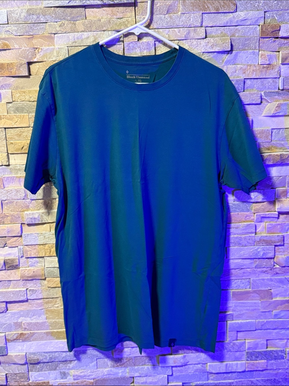 Black Diamond Men's Short Sleeve Crew Tee in Teal